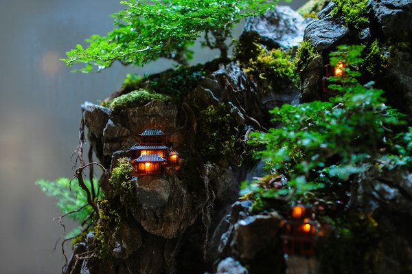 Réussir sa vie professionnelle grâce à la permaculture : astuces incontournables et ressources clés