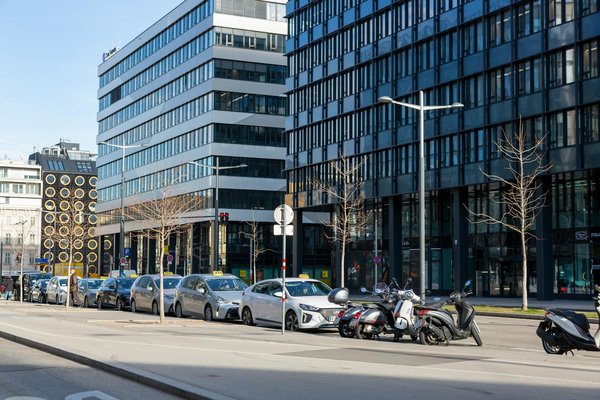 Découverte de Jeff Koons : Le Maître Incontesté du Kitsch